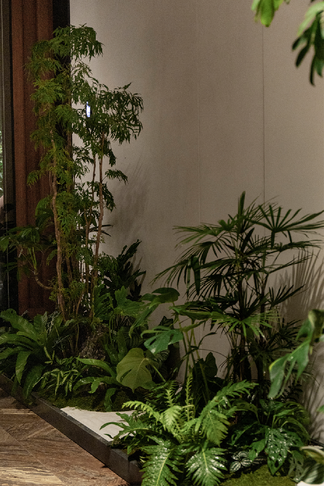 曦城会所 | 植物造景